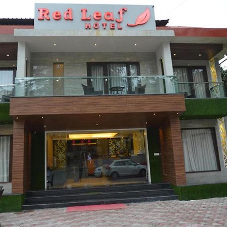 Fabhotel Red Leaf Mall Road Mussoorie Exteriör bild